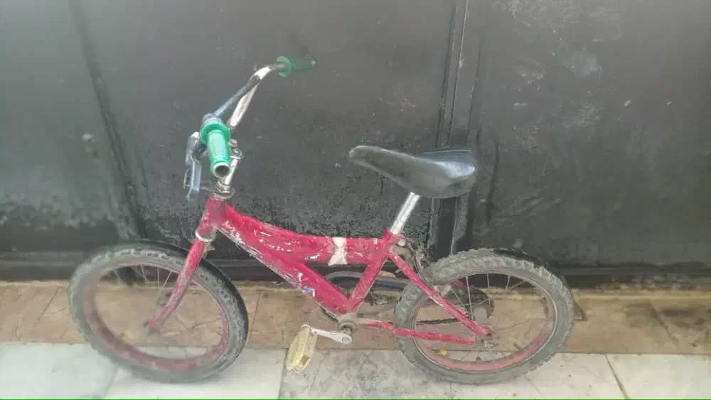 دوچرخه‌سواری سایز 16|دوچرخه، اسکیت، اسکوتر|ماهدشت, |دیوار