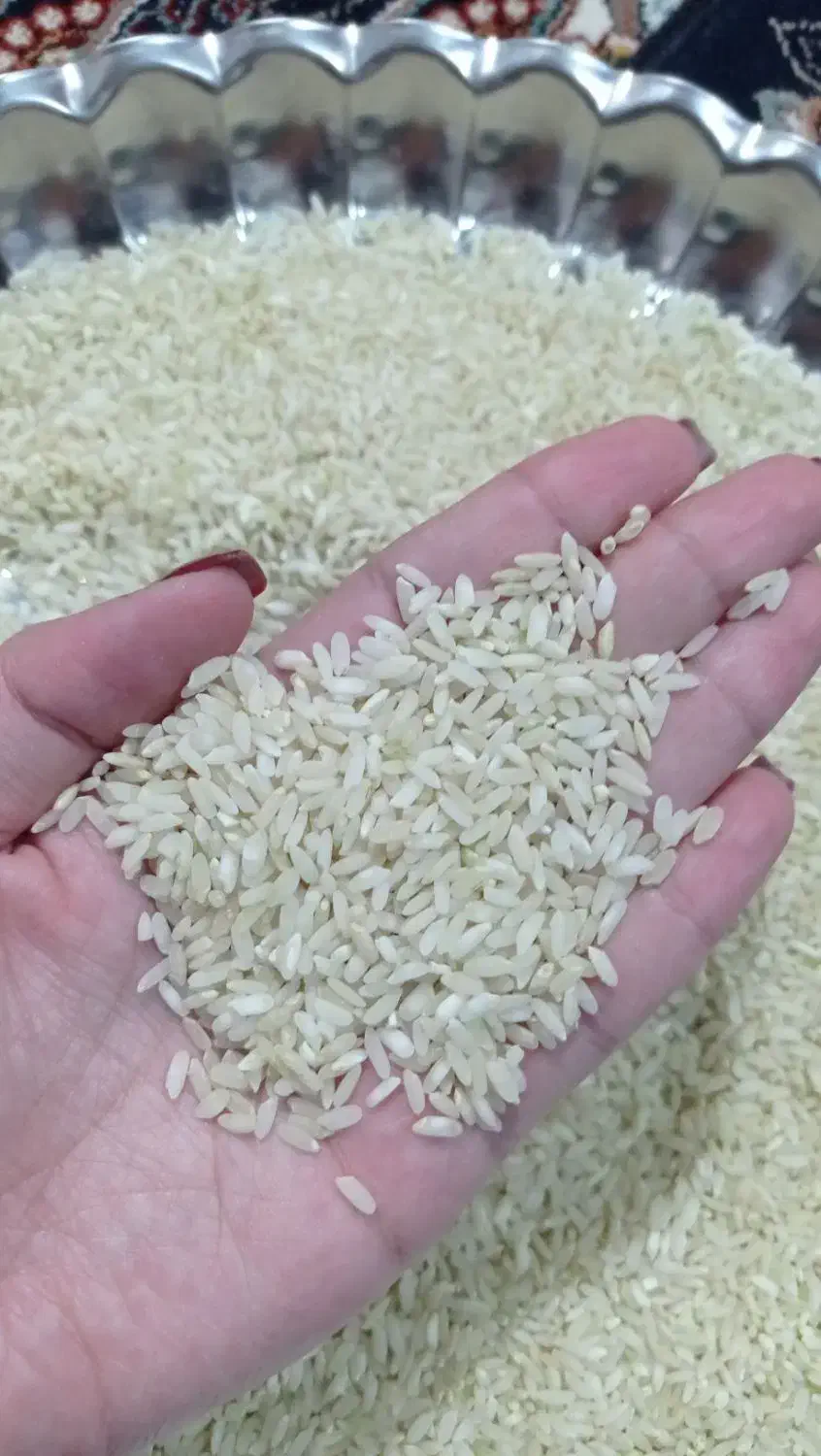 برنج چمپه فلارد|خوردنی و آشامیدنی|فلارد, |دیوار