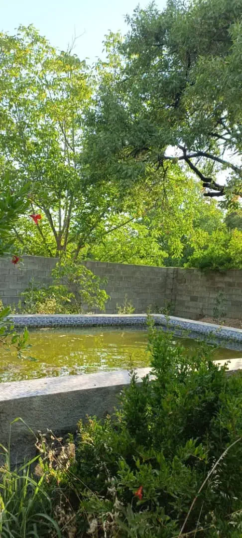 باغ ۵۷۰ متری فاروق مرودشت|فروش زمین و ملک کلنگی|سیدان, |دیوار