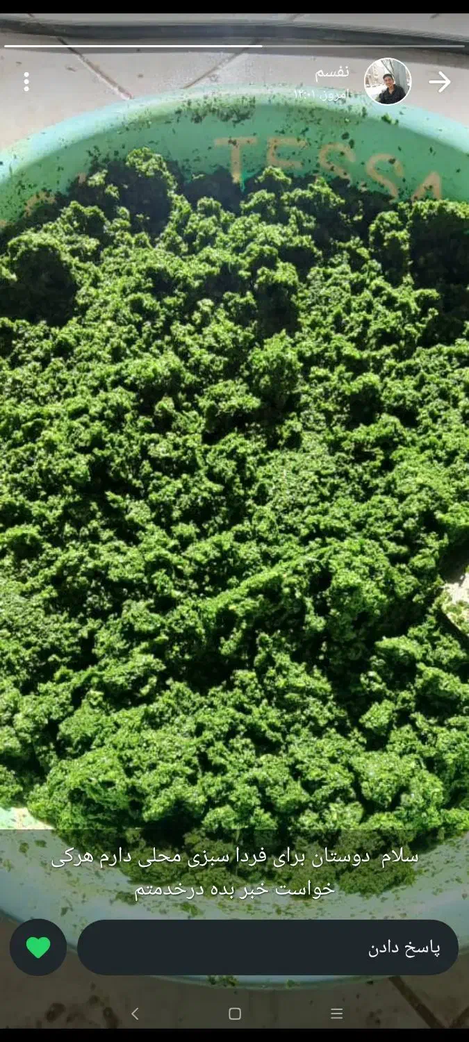 سبزی|خوردنی و آشامیدنی|ایلام, |دیوار