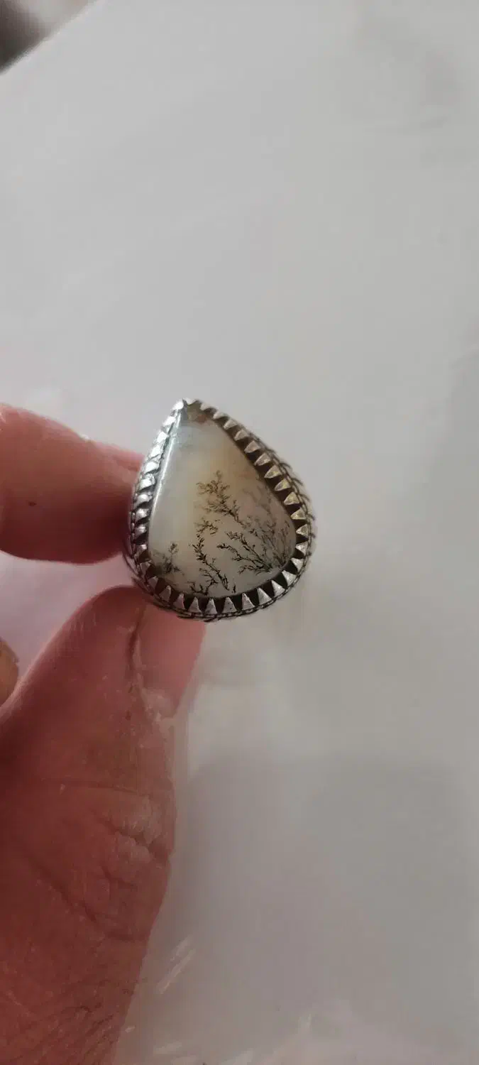 شجر بریزیلی سوزنی|جواهرات|ملایر, |دیوار