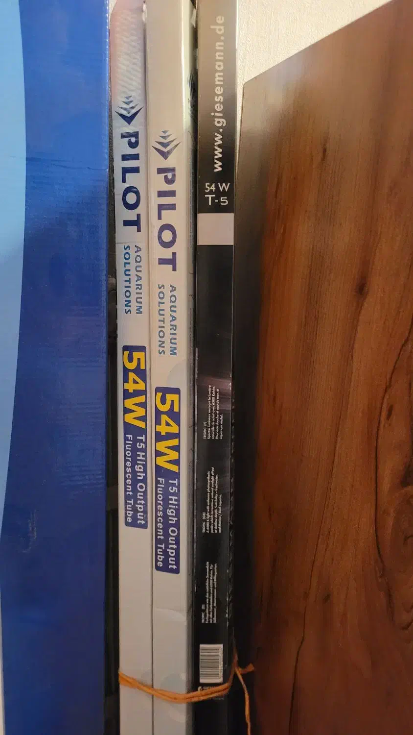 قاب مهتابی آکواریوم ماهیران|ماهی|شیراز, فرهنگ شهر|دیوار