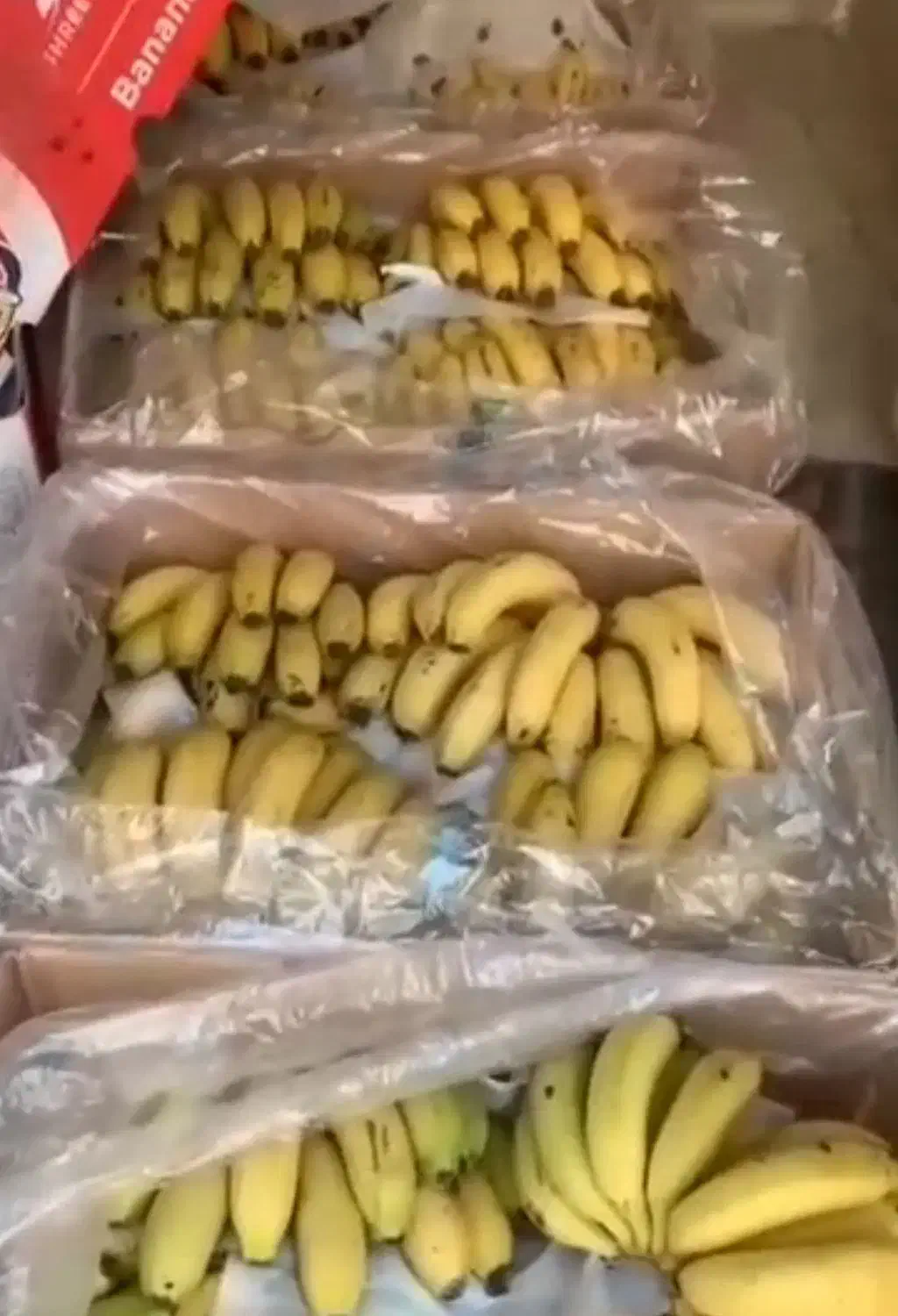 موز|عمده‌فروشی|همدان, |دیوار