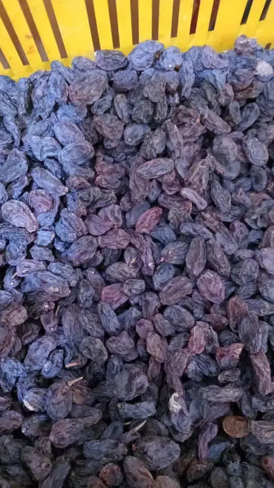 گردو کشمش از۲۰۰تومنی دا رم تا ۴۵۰ت|عمدهفروشی|صائین قلعه, |دیوار