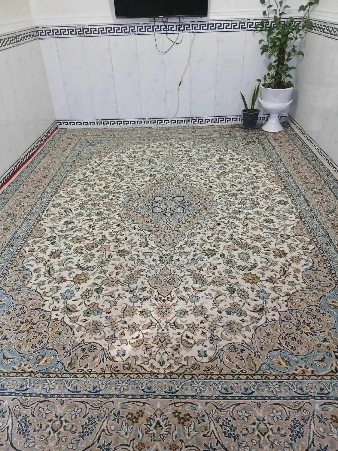 قالی۱۲متری|فرش|بندر ماهشهر, |دیوار