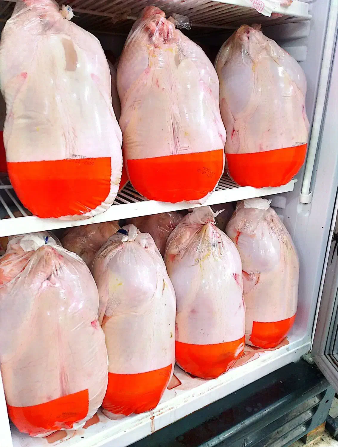 کالابرگ بدون محدودیت|خوردنی و آشامیدنی|مسجد سلیمان, |دیوار