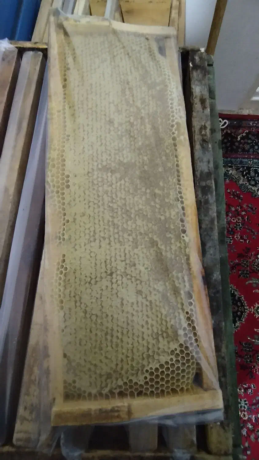 عسل طبیعی ودرمانی|آرایشی، بهداشتی، درمانی|آبش احمد, |دیوار