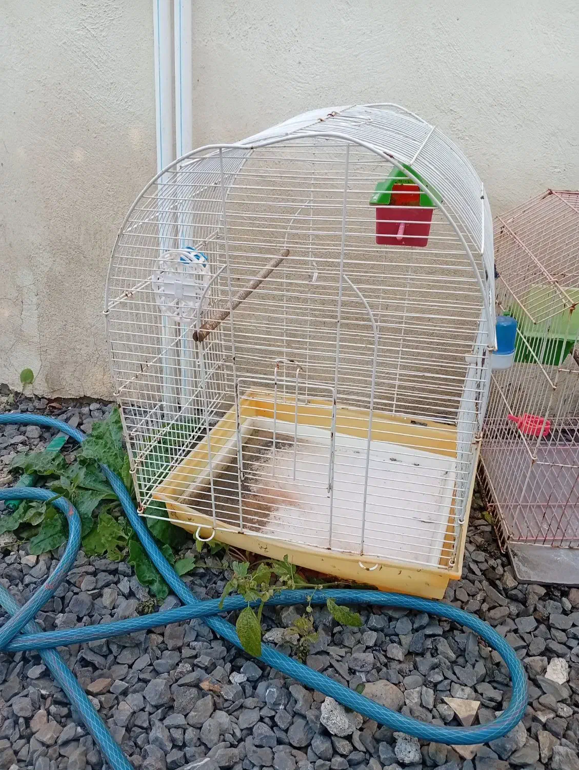 قفس پرنده|لوازم جانبی حیوانات|چمستان, |دیوار