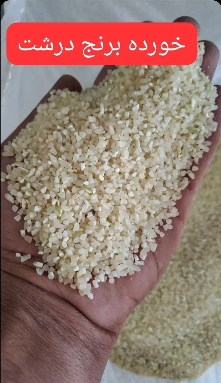 خورده برنج آشی کامفیروزی|خوردنی و آشامیدنی|شیراز, حومه شیراز|دیوار