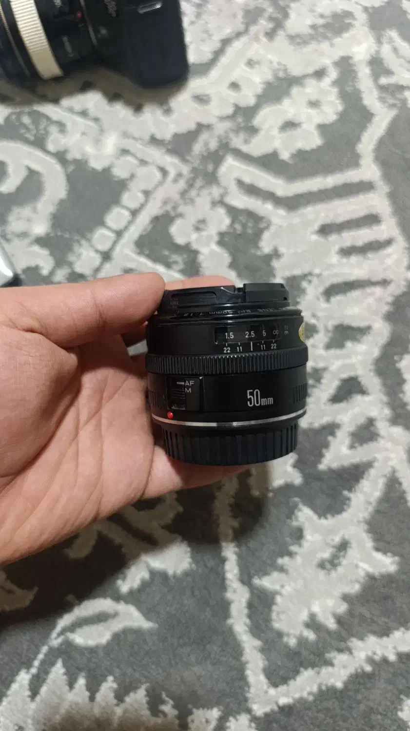 دوربین عکاسی|دوربین عکاسی و فیلم‌برداری|سنندج, |دیوار