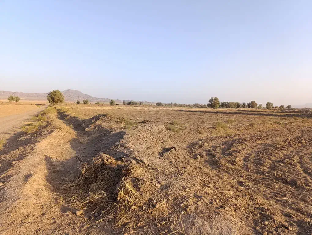 فروش یک شبانه روز آب و زمین و پسته نهبندان|فروش دفتر صنعتی، کشاورزی، تجاری|نهبندان, |دیوار