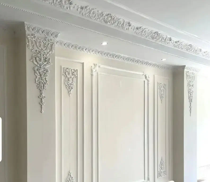 گچ کار وگچ بری حرفه ای|خدمات پیشه و مهارت|گنبد کاووس, |دیوار