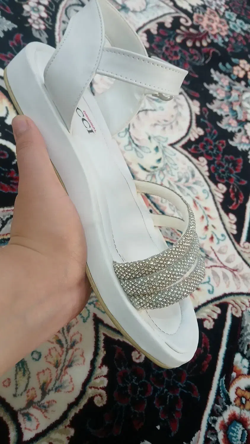 کفش مجلسی|کیف، کفش، کمربند|زنجان, |دیوار