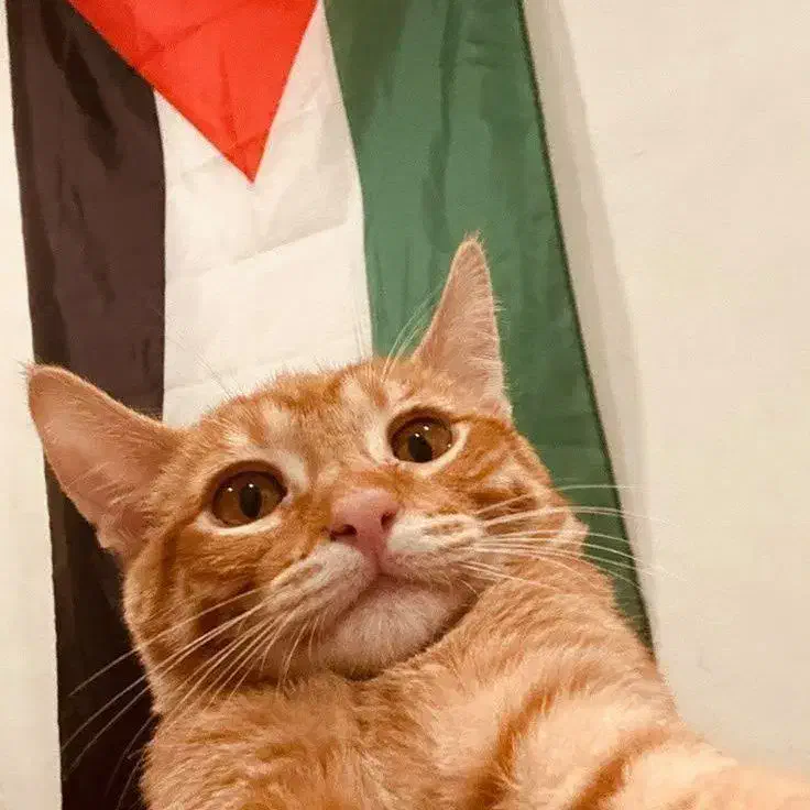 مبلغ ۱۰۰ هزار تومان پول پیدا شده|اشیا|گرگان, |دیوار