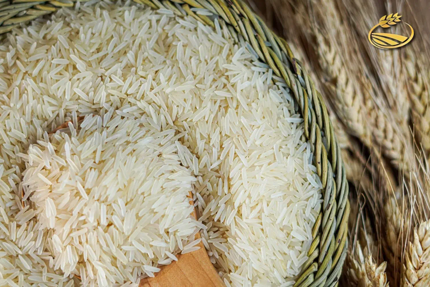 برنج ۱۱۲۱دانه بلند مخصوص رستوران ها|خوردنی و آشامیدنی|سهند, |دیوار