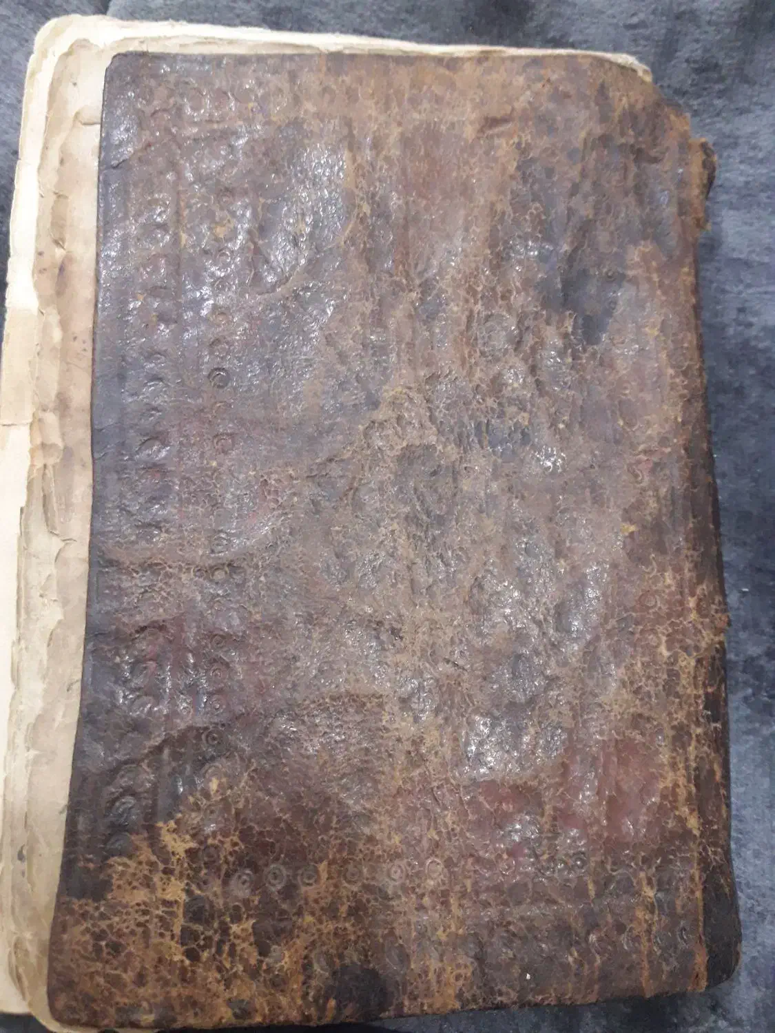 کتاب دارو سازی|کتاب و مجله تاریخی|دورود, |دیوار