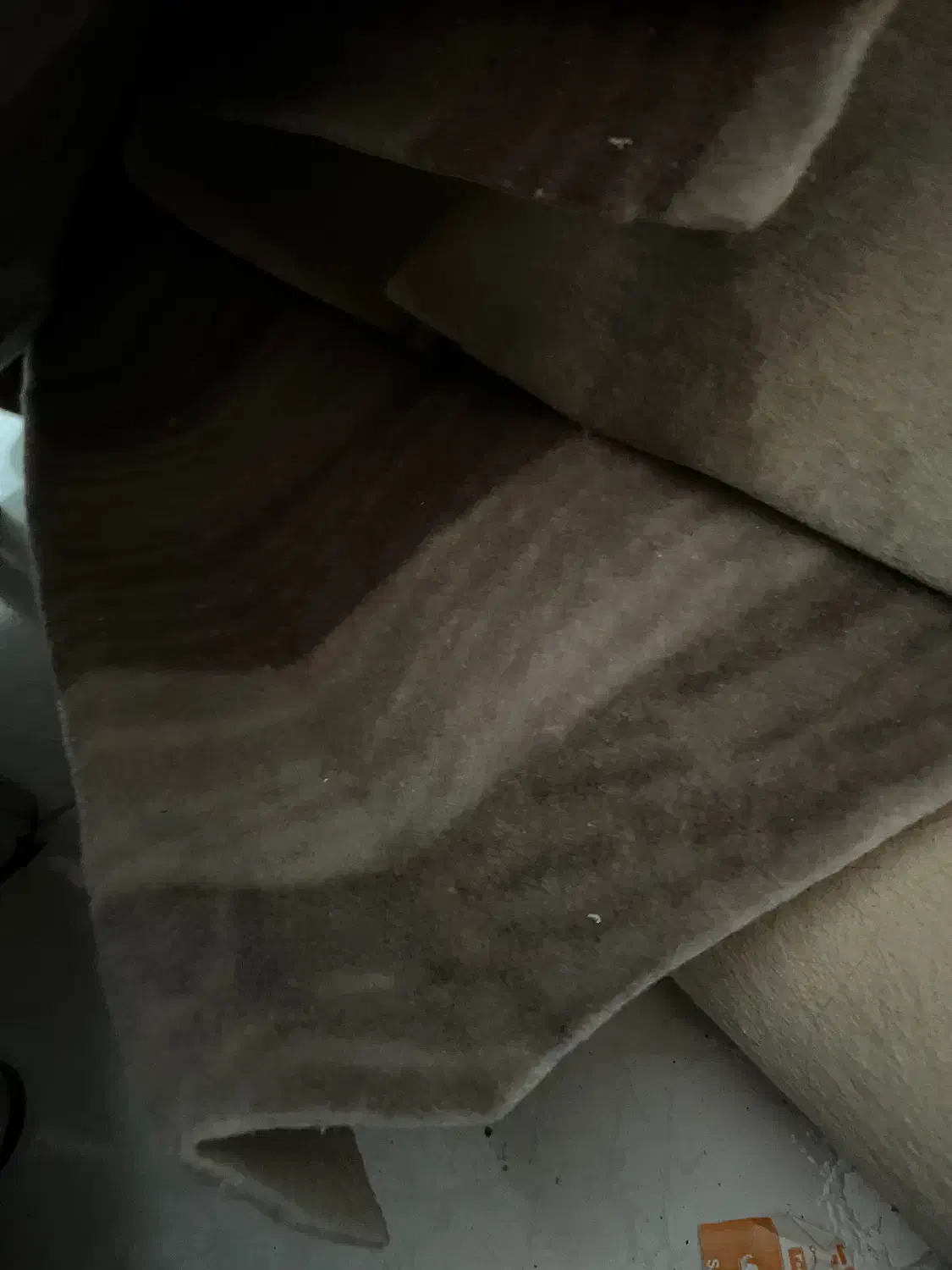 موکت دست دوم|موکت|تبریز, |دیوار