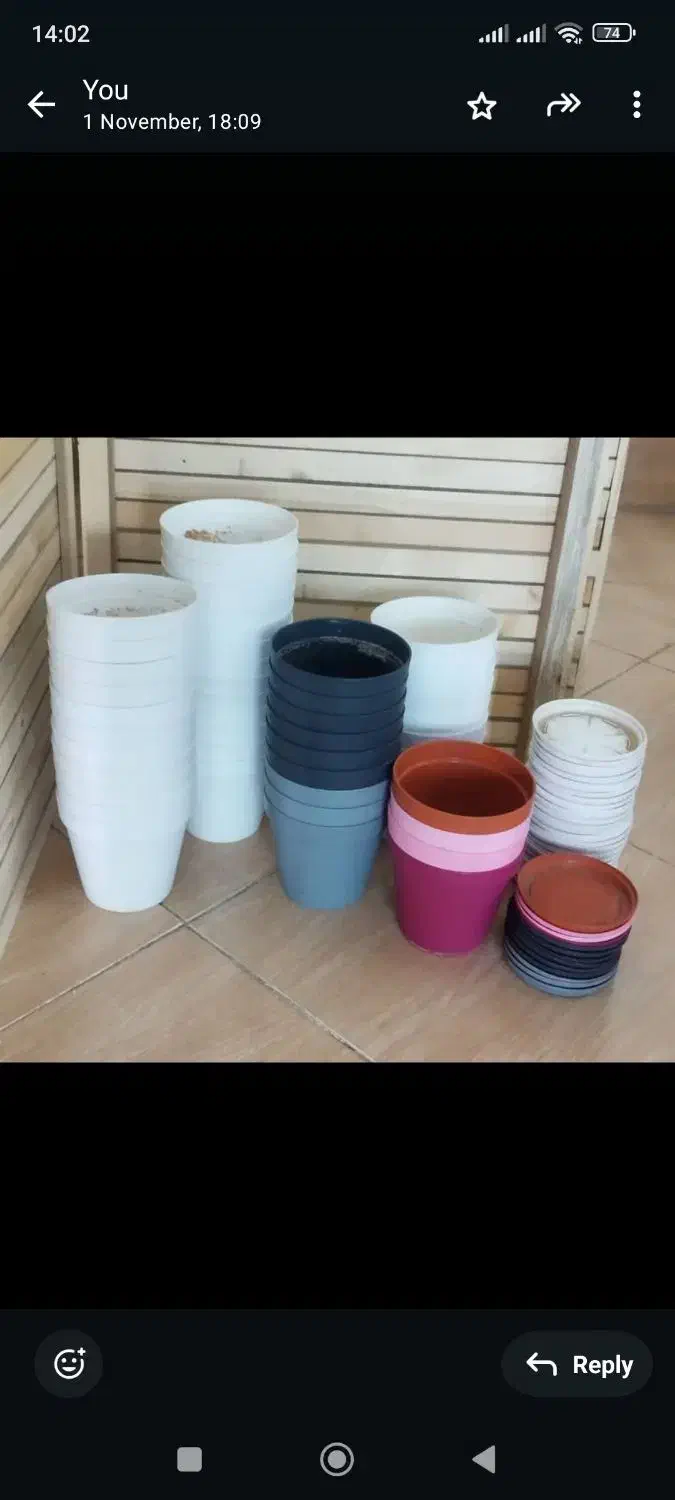 ۴۲ گلدان|گل و گیاه طبیعی|شیراز, شهرک گلدشت حافظ‎|دیوار