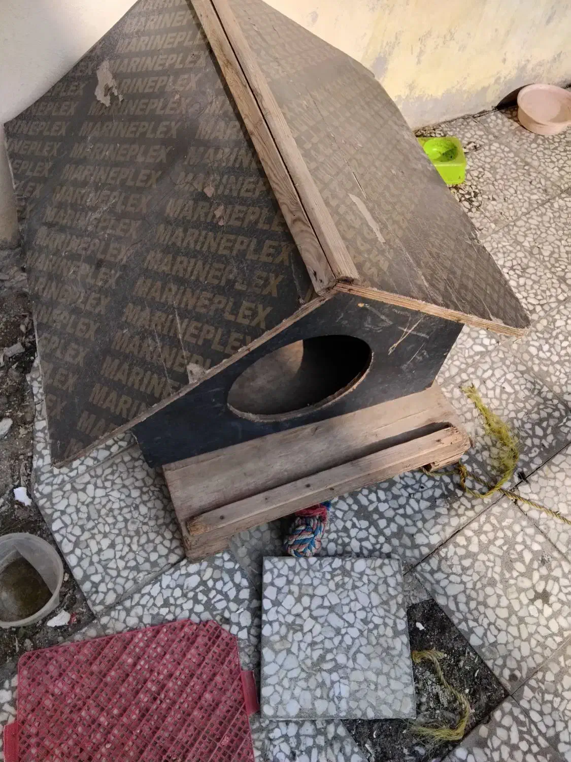 لانه ی سگ|لوازم جانبی حیوانات|قائمشهر, |دیوار