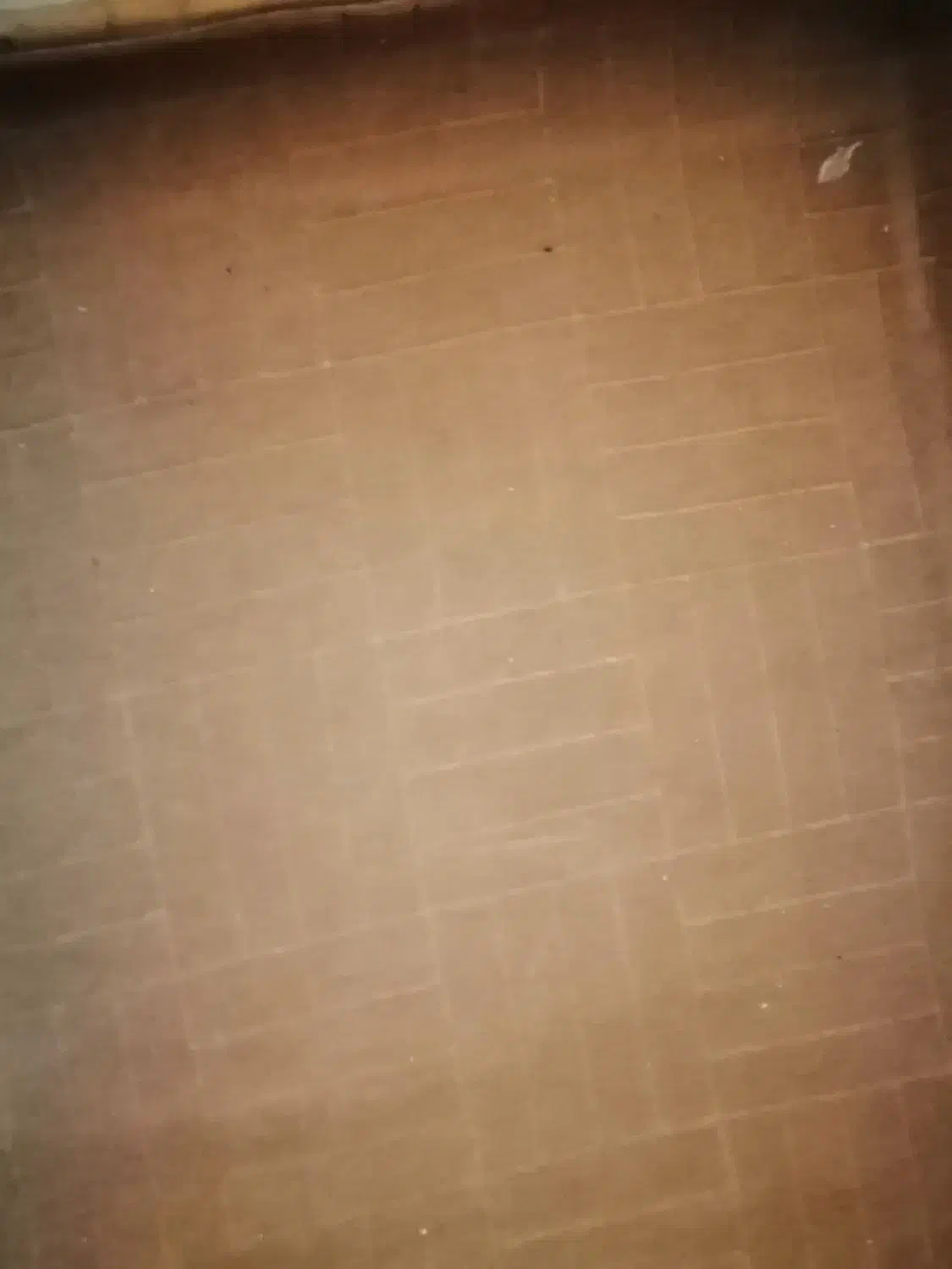 تعدادی وسایل منزل|فرش|شیراز, آزادگان|دیوار