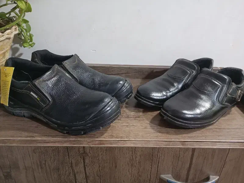 کفش|کیف، کفش، کمربند|زارچ, |دیوار