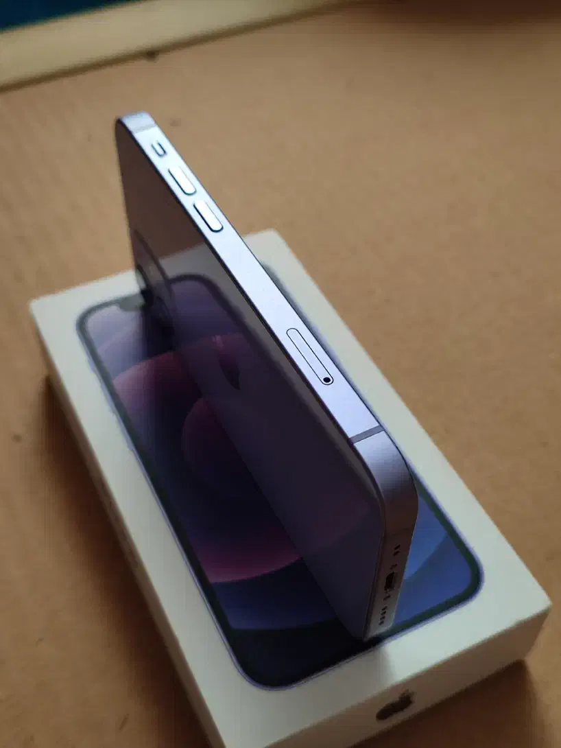 iPhone 12 mini|موبایل|رفسنجان, |دیوار