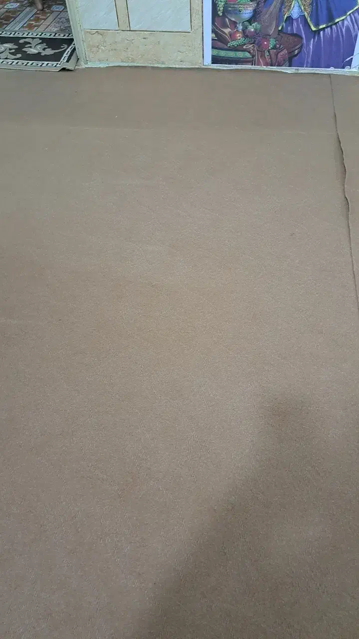 موکت در حد نو|موکت|خرمشهر, |دیوار