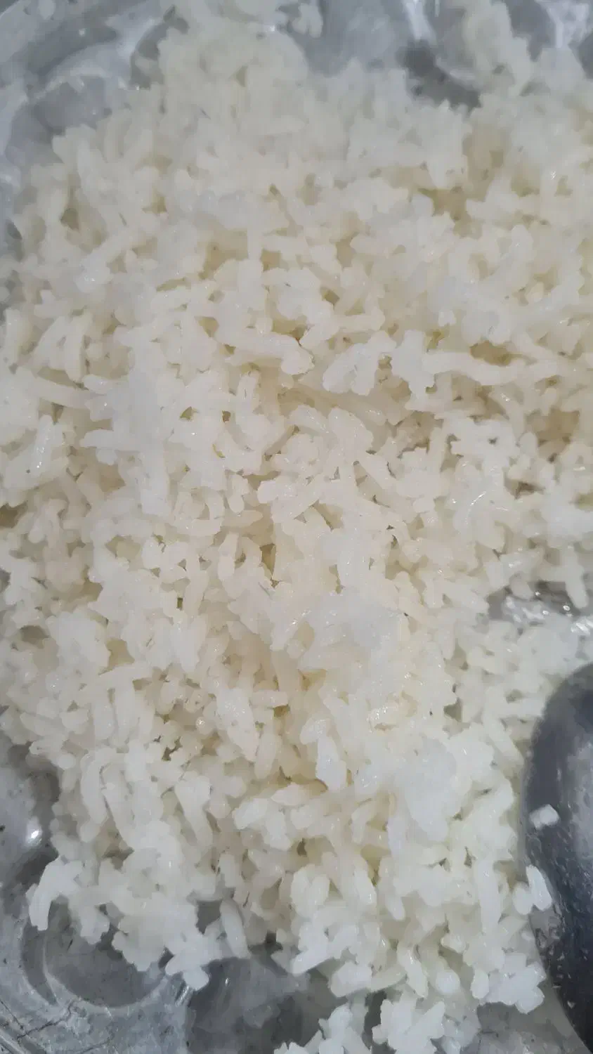 برنج ایرانی کاملا یکدست|خوردنی و آشامیدنی|بجنورد, |دیوار