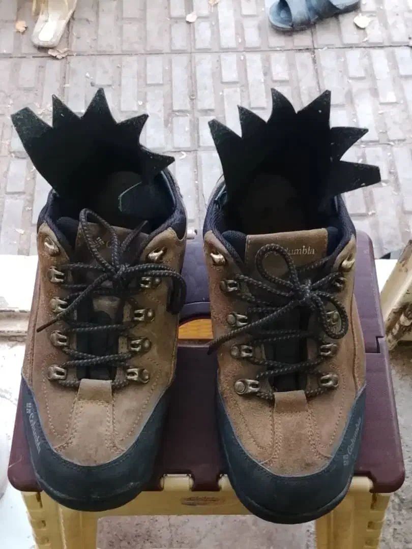 کفش کوهنوردی|کیف، کفش، کمربند|کرمان, |دیوار