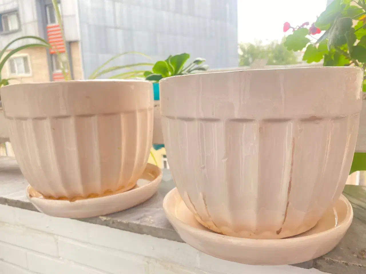 گلدان سرامیکی|گل و گیاه طبیعی|رشت, گلسار|دیوار