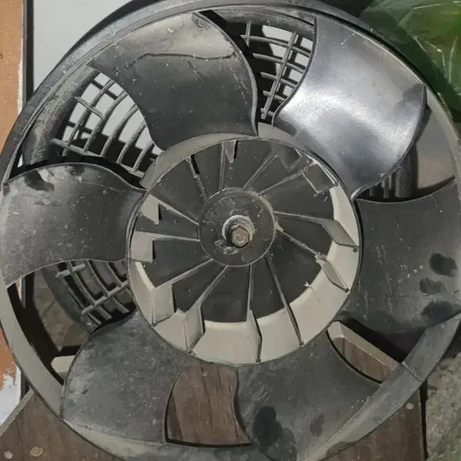 فن هواکش مخصوص لانه حیوانات و پرندگان|پرنده|چابهار, |دیوار