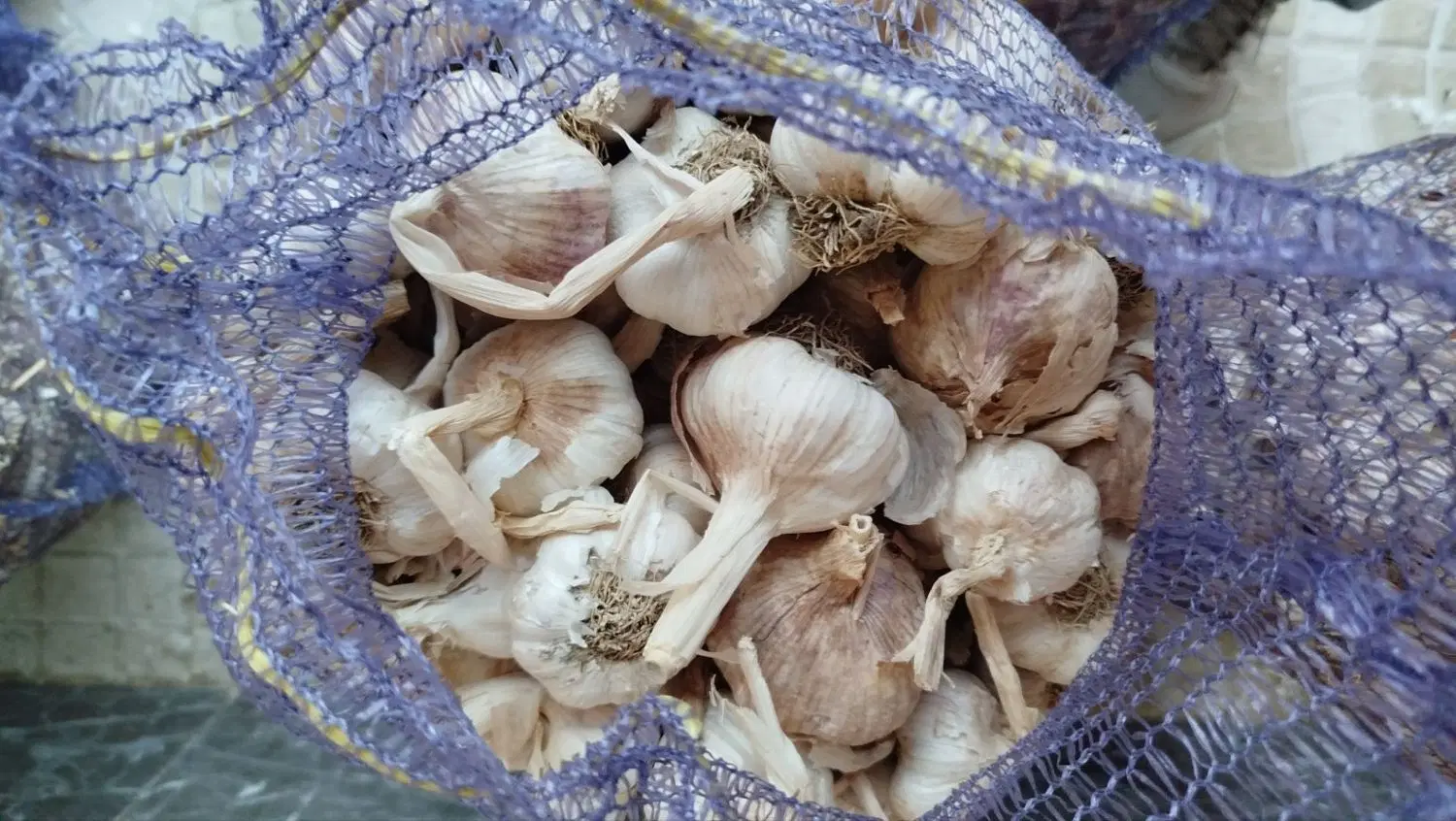 سیر|خوردنی و آشامیدنی|اهر, |دیوار
