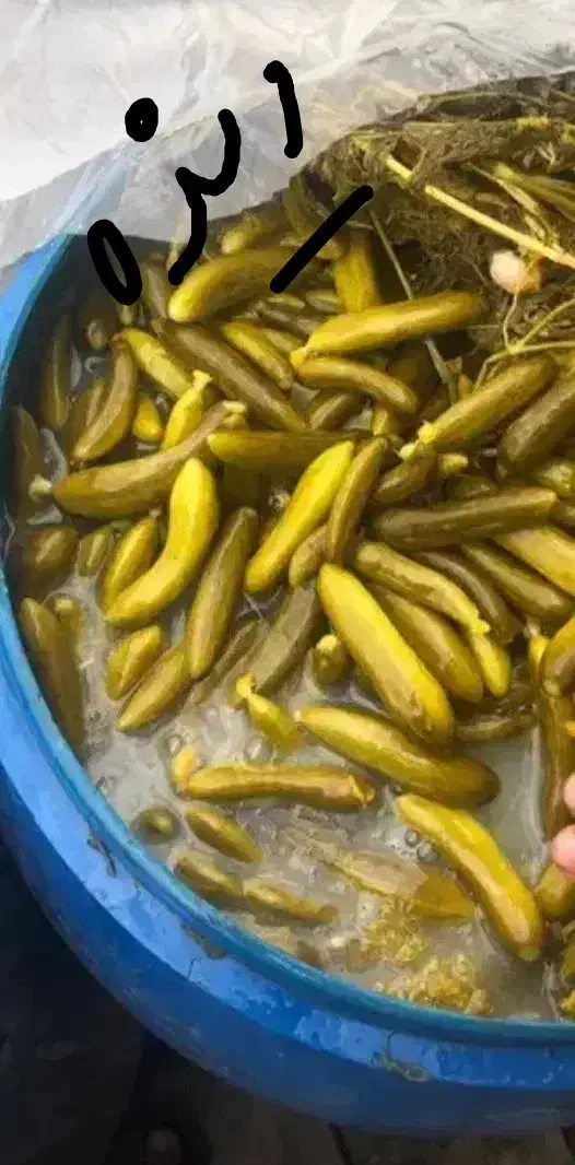 ترشی وخیارشور به صورت عمده|خوردنی و آشامیدنی|اهواز, فرهنگ شهر|دیوار