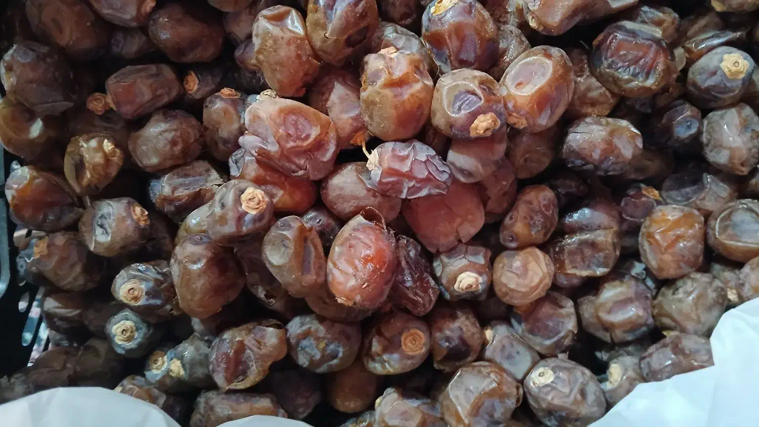 خرما برحی|خوردنی و آشامیدنی|اهواز, اسماعیلیه|دیوار