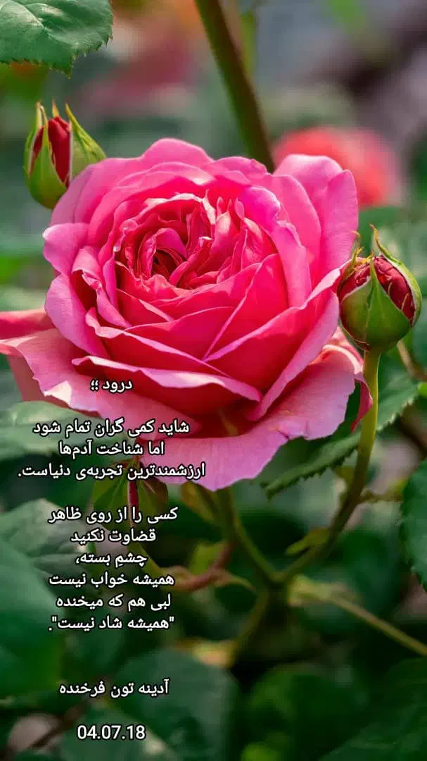 فروشندگی درجشنواره بادرود|استخدام بازاریابی و فروش|بادرود, |دیوار