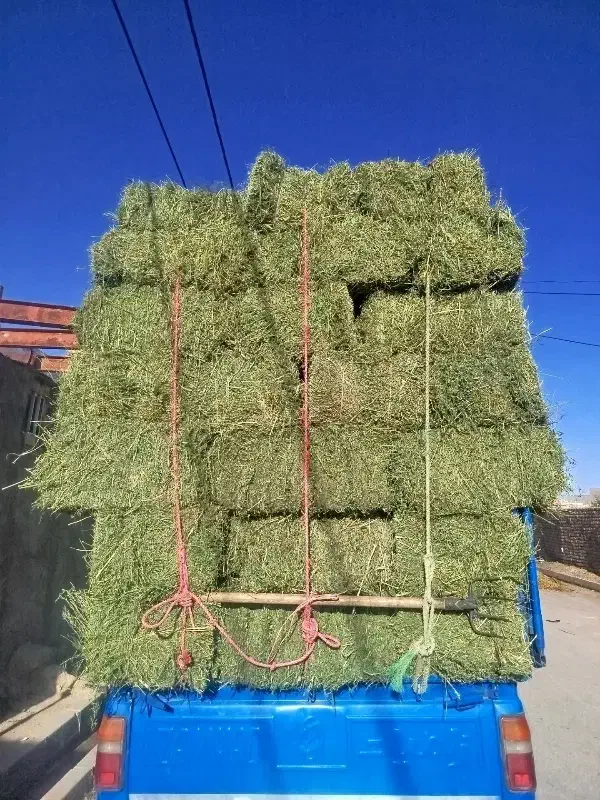 یونجه انباری|لوازم جانبی حیوانات|دشتابی, |دیوار