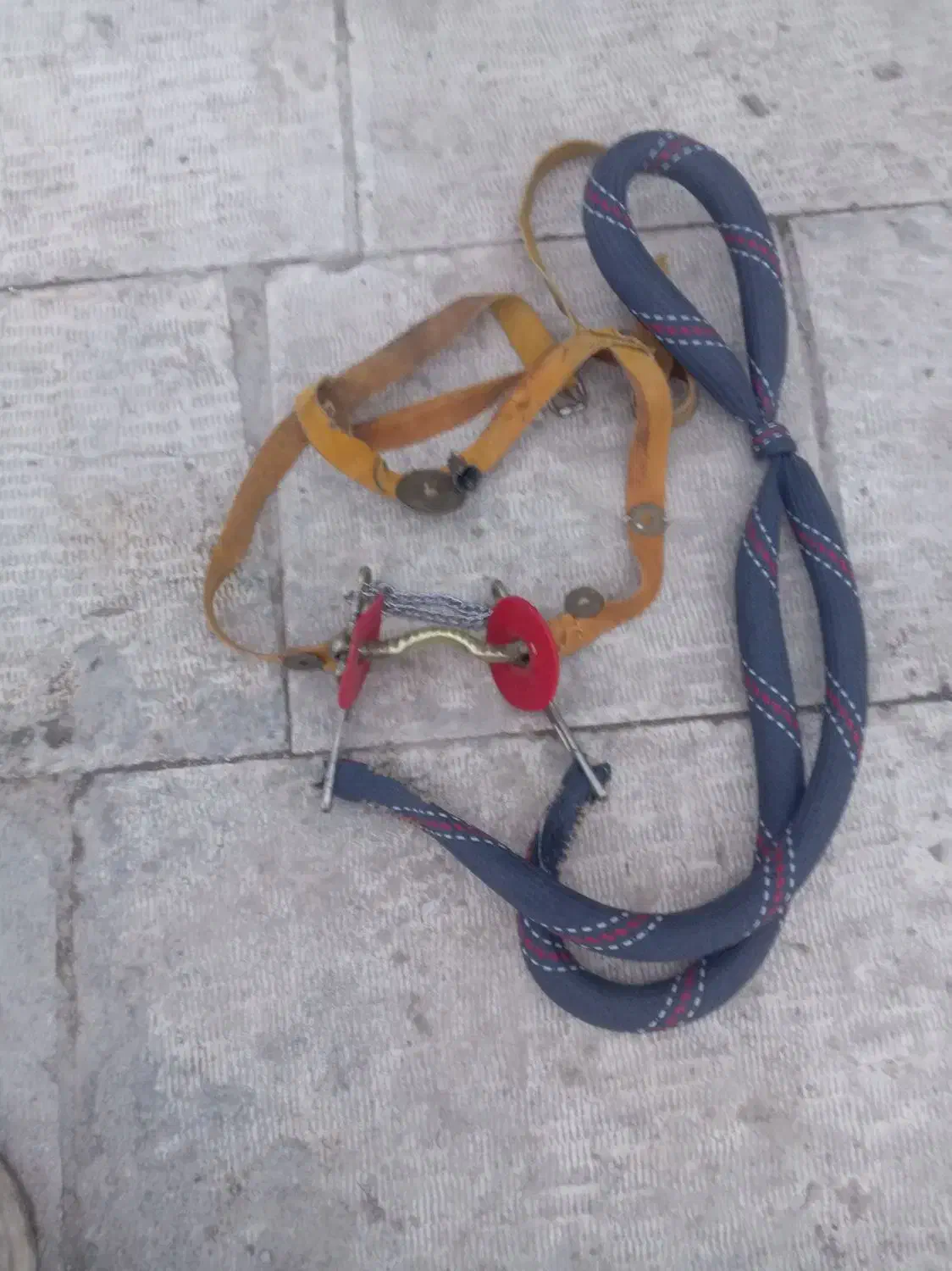 دهنه اسب برنجی قدیمی|اسب و تجهیزات اسب‌سواری|چناران, |دیوار