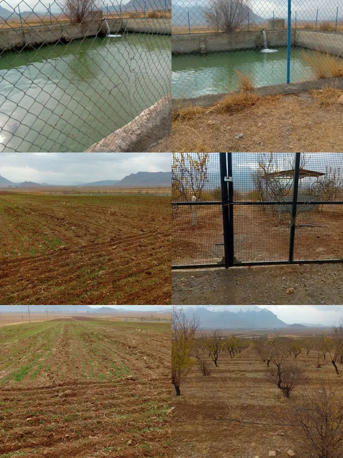 فروش زمین کشاورزی|اجارهٔ دفتر صنعتی، کشاورزی، تجاری|داران, |دیوار