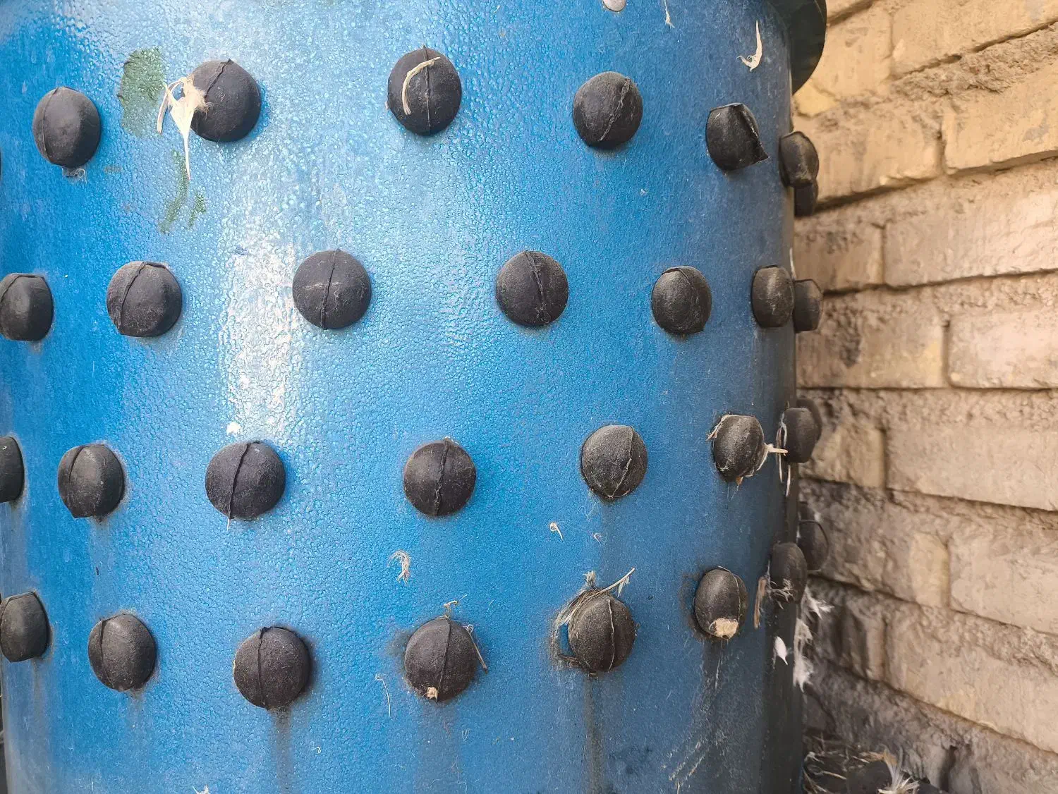 وسایل مرغ فروشی پرکن قفس|فروشگاه و مغازه|کرخه, |دیوار