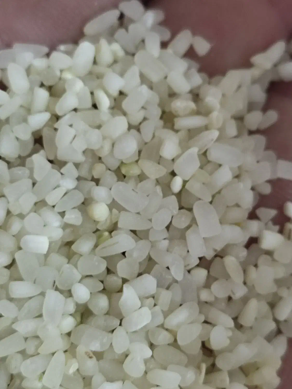 نیم دانه لیزری عنبر بو|خوردنی و آشامیدنی|دزفول, |دیوار