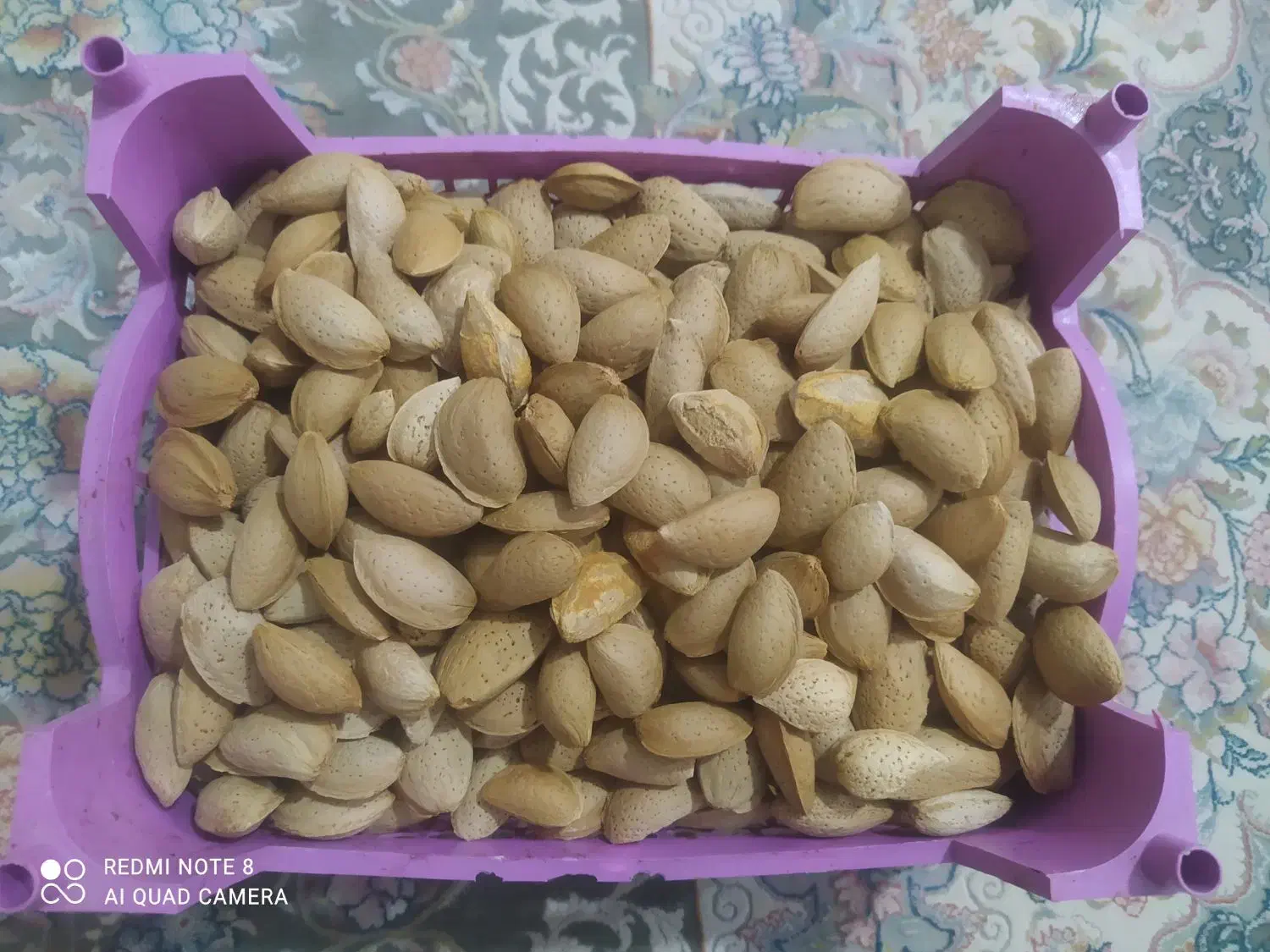 بادام درختی تازه|عمده‌فروشی|اهواز, کمپلو شمالی|دیوار