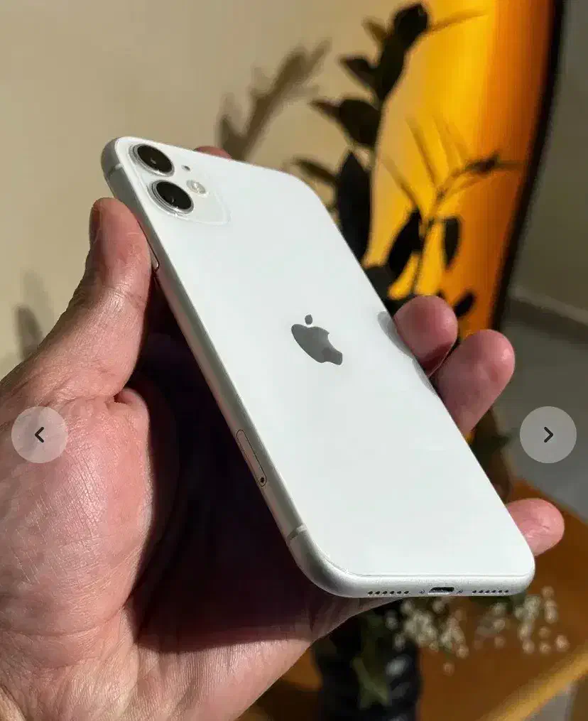 iPhone 11 128G|موبایل|گرگان, |دیوار