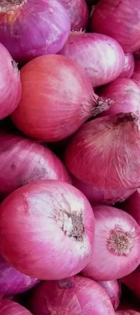 پیاز قرمز|عمدهفروشی|صوفیان, |دیوار