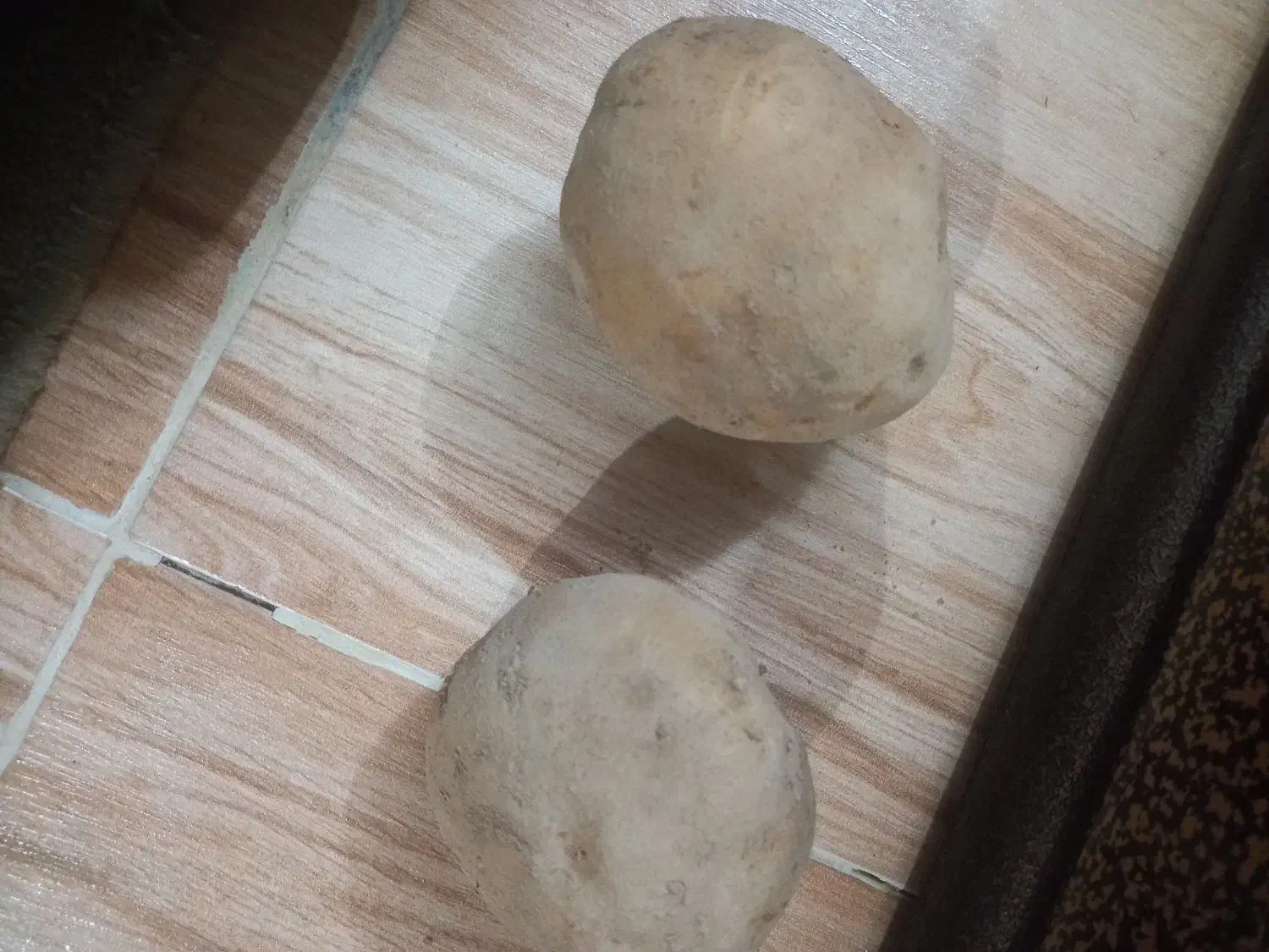 سیب‌زمینی مغززرد قوچان|خوردنی و آشامیدنی|آبکوه, |دیوار