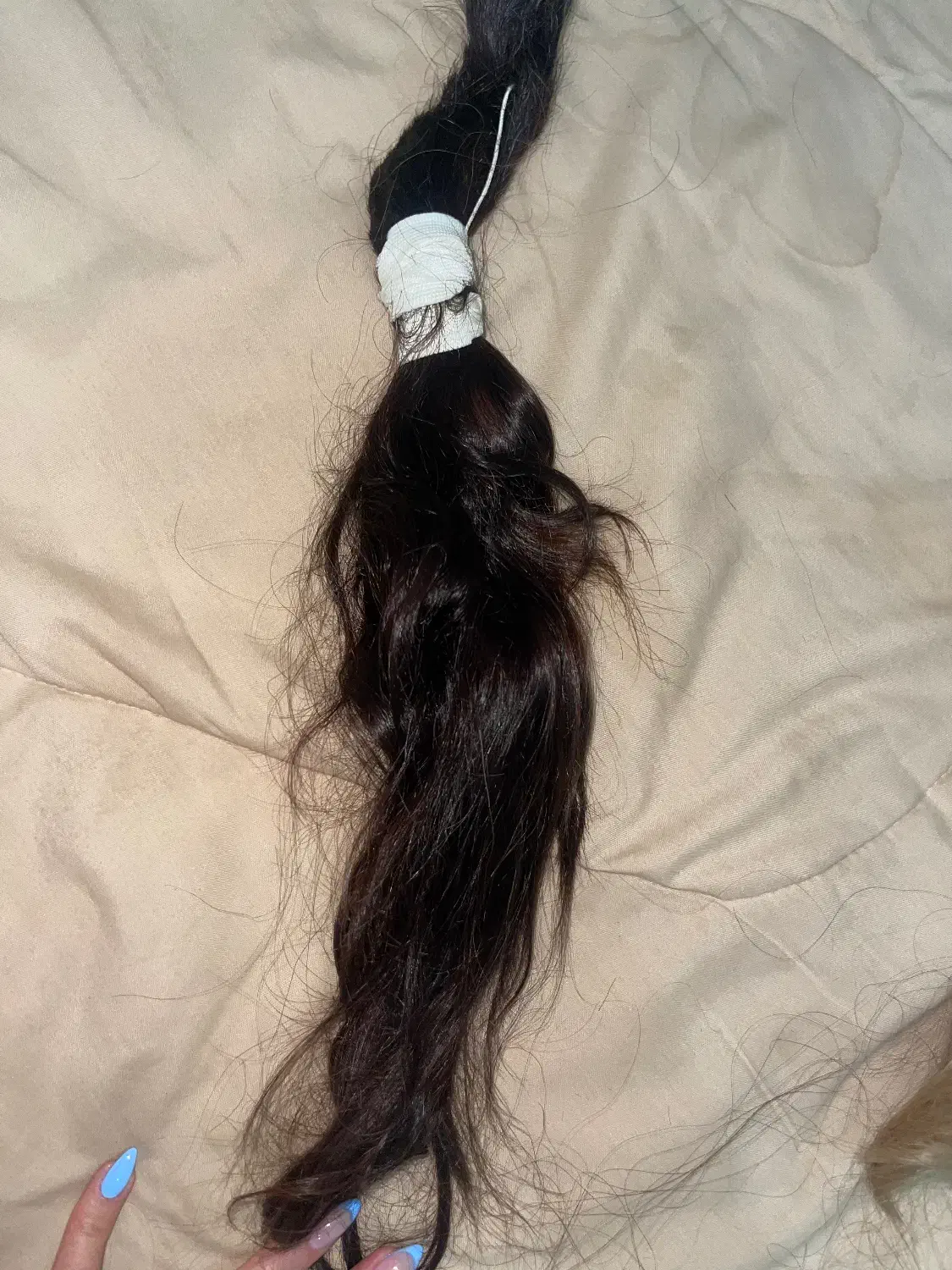 موی طبیعی سالم و پرپشت|آرایشی، بهداشتی، درمانی|تهران, شهرک چیتگر|دیوار