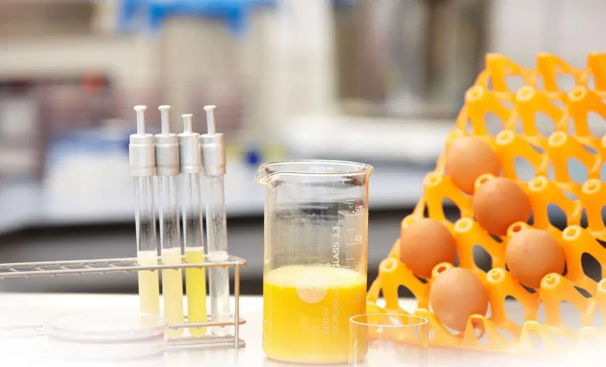 مسئول فنی آزمایشگاه صنایع غذایی|استخدام صنعتی، فنی، مهندسی|چناران, |دیوار