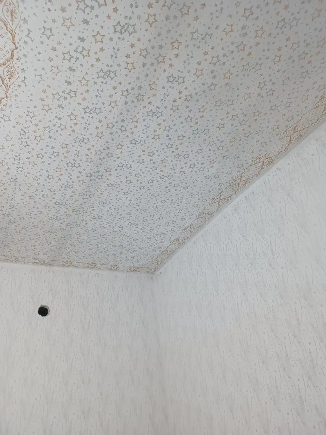 رنگ کاری و طرح کاغذدیو|خدمات پیشه و مهارت|پلدشت, |دیوار