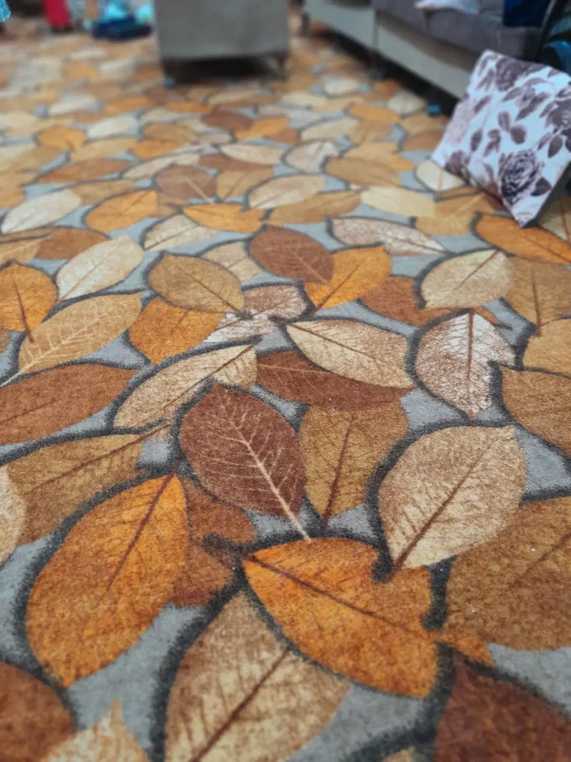 موکت ظریف|موکت|بوشهر, |دیوار