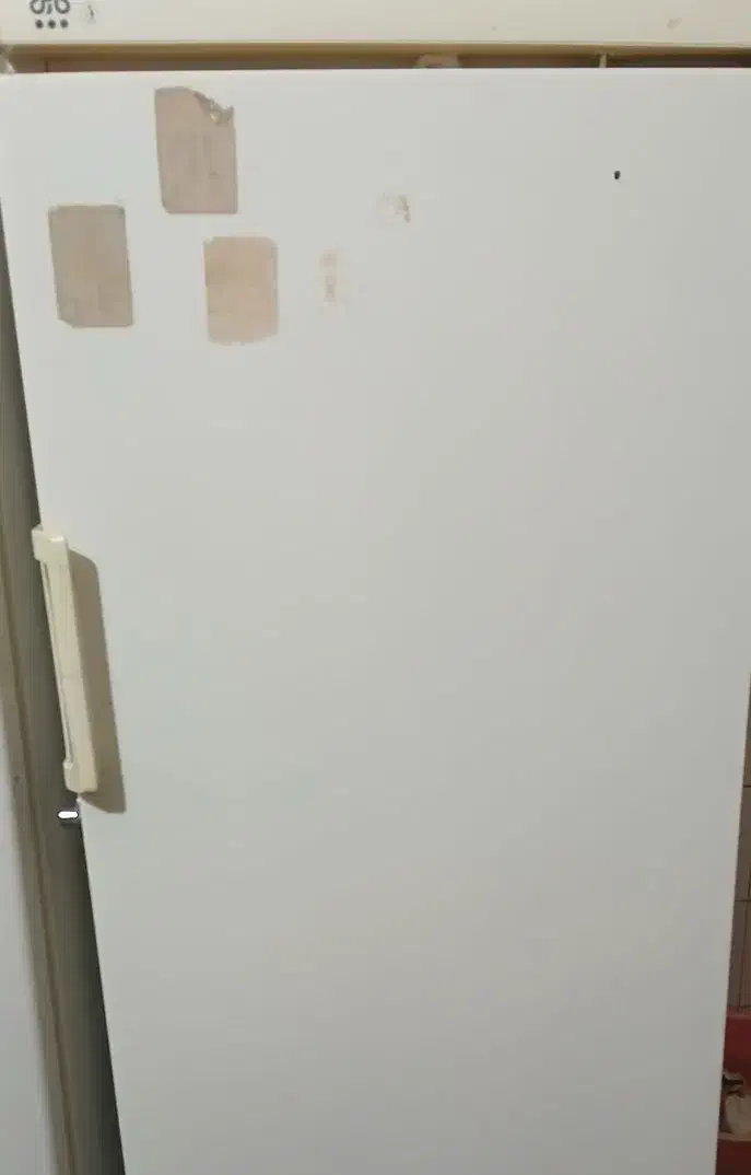 یخچال سالم|یخچال و فریزر|زهک, |دیوار