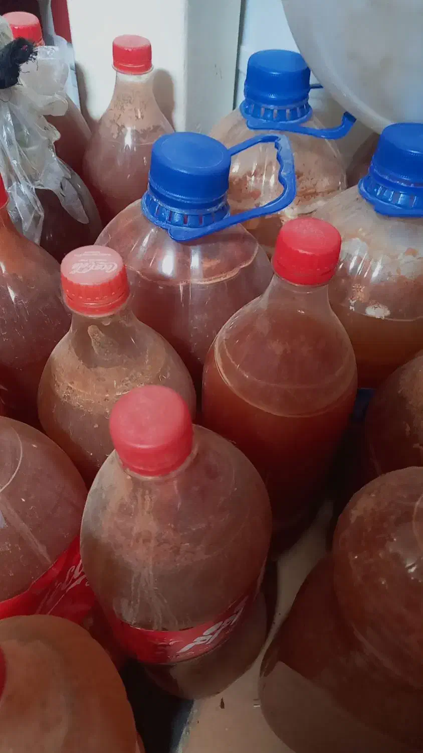 آبغوره ارگانیک|خوردنی و آشامیدنی|فردیس, فردیس|دیوار